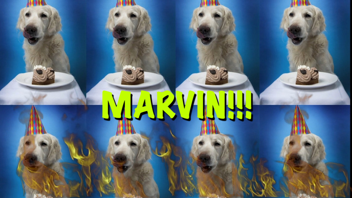 HAPPY BIRTHDAY MARVIN! | Epic Happy Birthdays