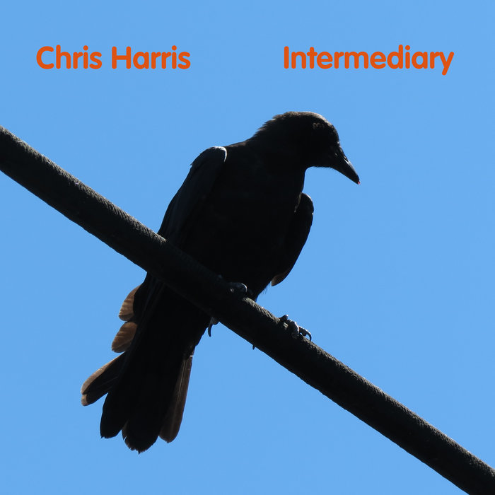 Continuity, by Chris Harris