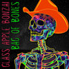 Bag of Bones