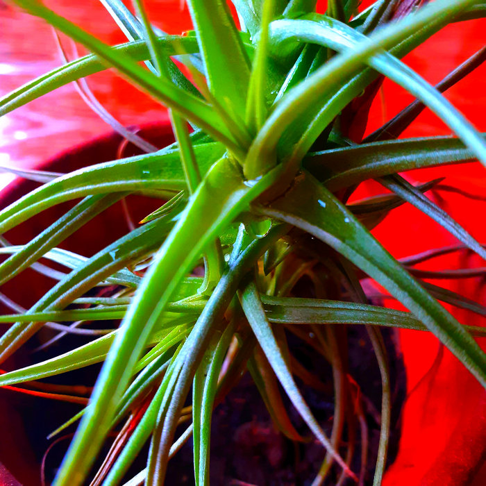 5ynth3t1k.bandcamp.com