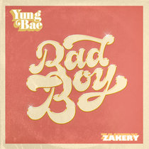 Bad Boy (ZAKERY Remix) cover art
