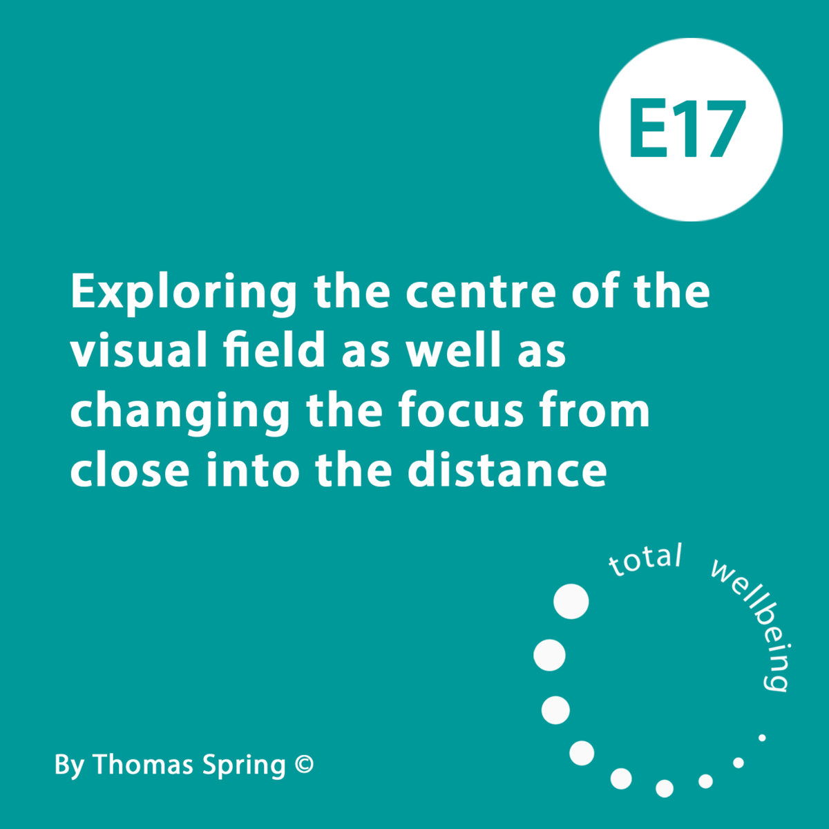 E17 Exploring the centre of the visual field as well as ...