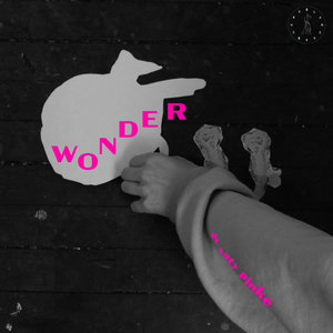 Wonder cover