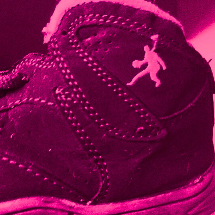 funny fake jordan shoes