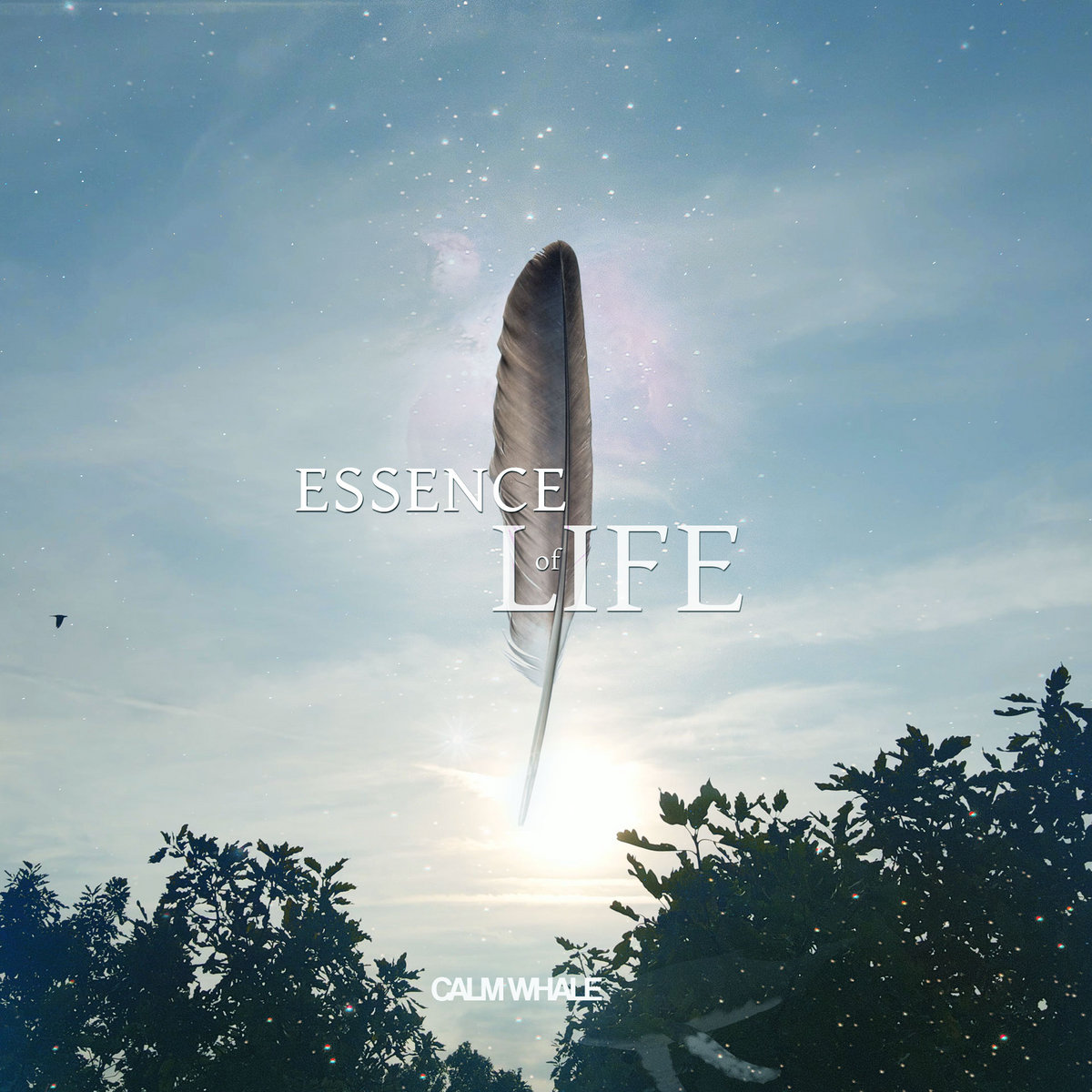 Essence of life - Flute & Tanpura Meditation | Calm Whale