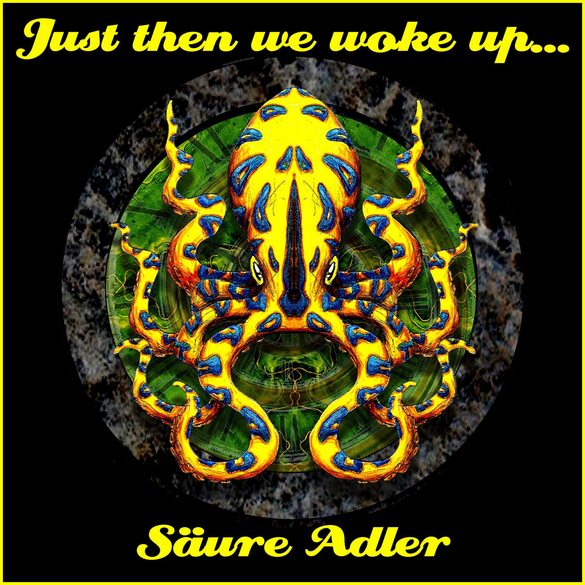Just Then We Woke Up... cover