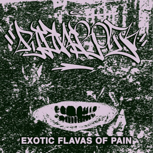 Exotic Flavas of Pain (split with STOLEN) cover