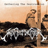 Gathering The Destruction (Mix) Cover Art