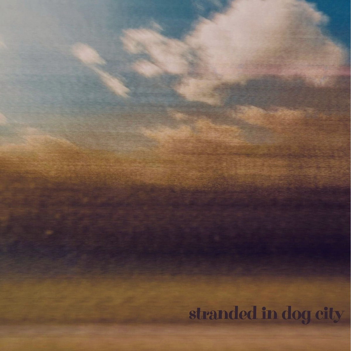 demo) | stranded in dog city