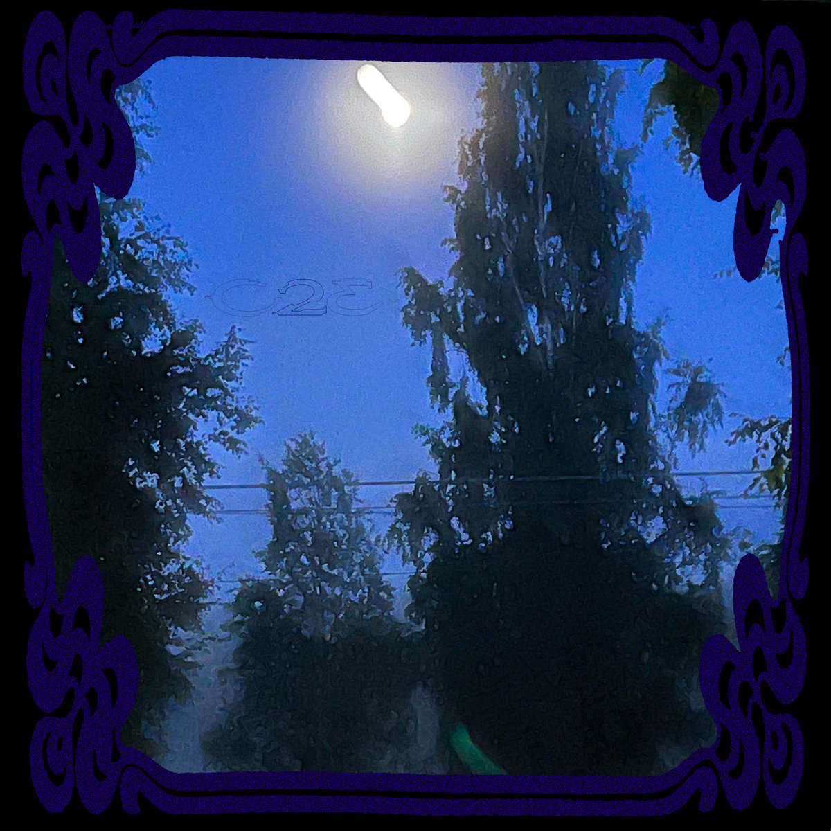 HOLLOW POINT | Varg2™ | Cease 2 Exist