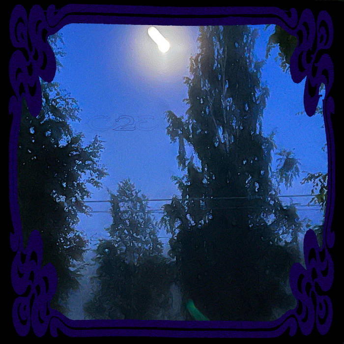 HOLLOW POINT | Varg2™ | Cease 2 Exist