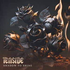 SHADOW TO SHINE cover