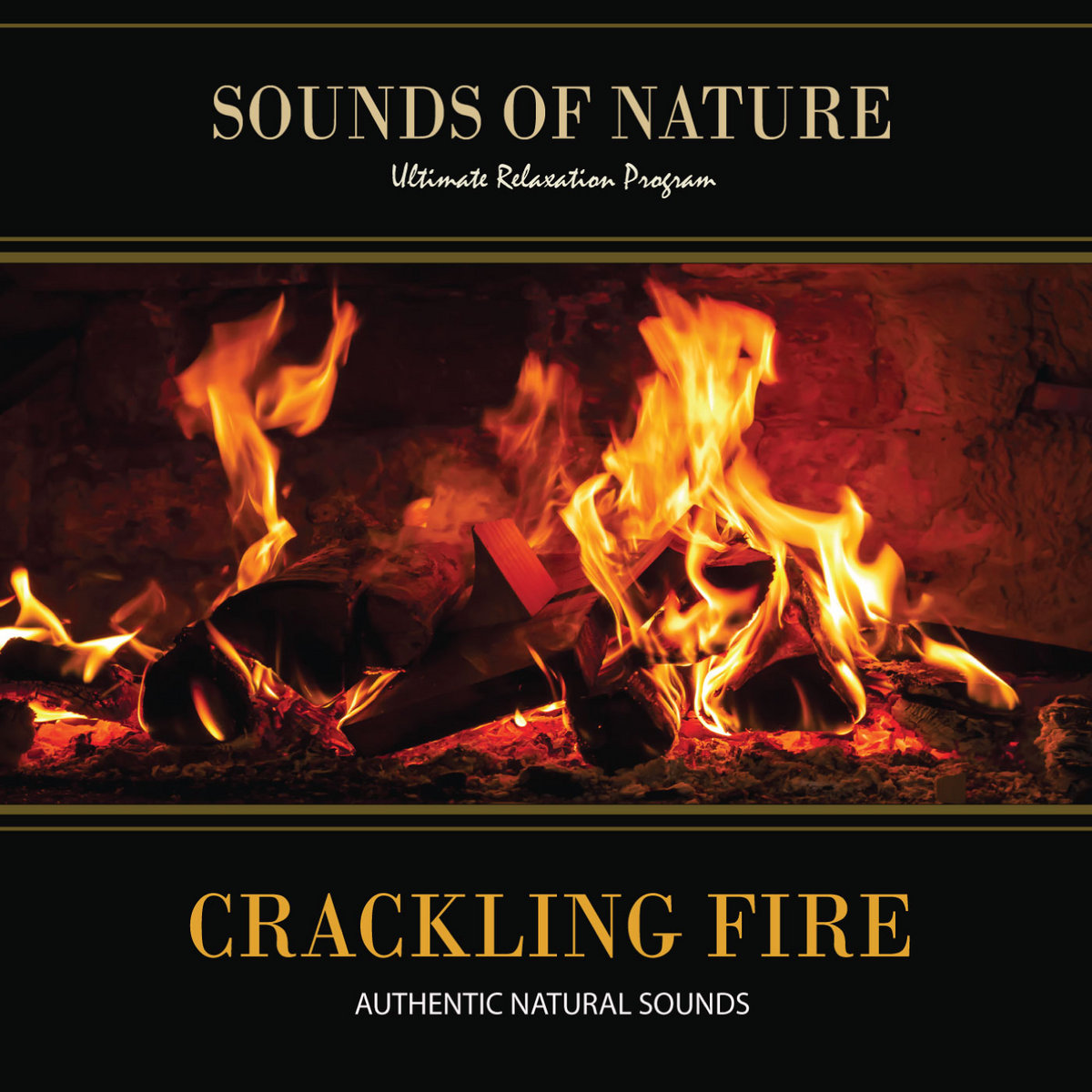 Crackling Fire (Nature Sounds) | Nature Sounds (Relaxing Sounds of