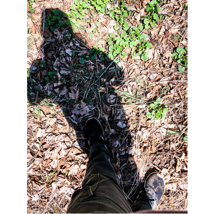 dustier than a harperr