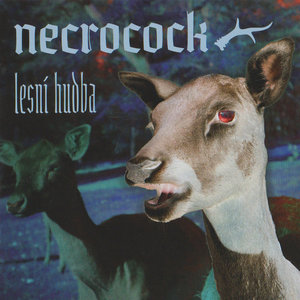 Lesní hudba cover
