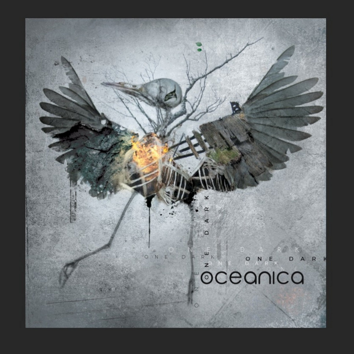 OneDark cover