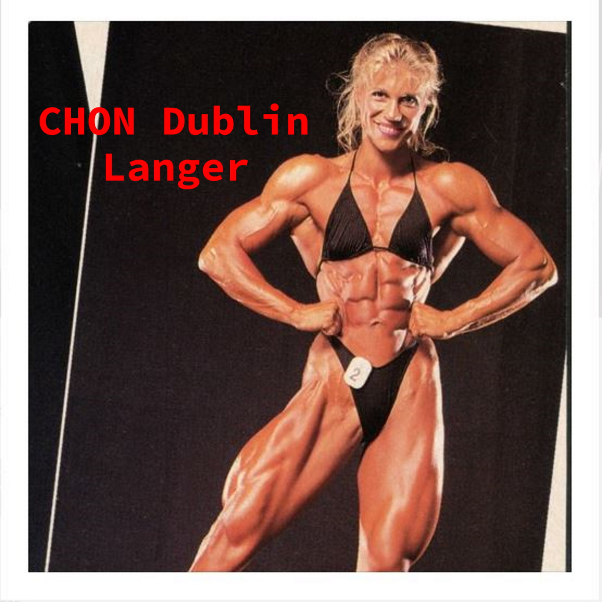Langer cover