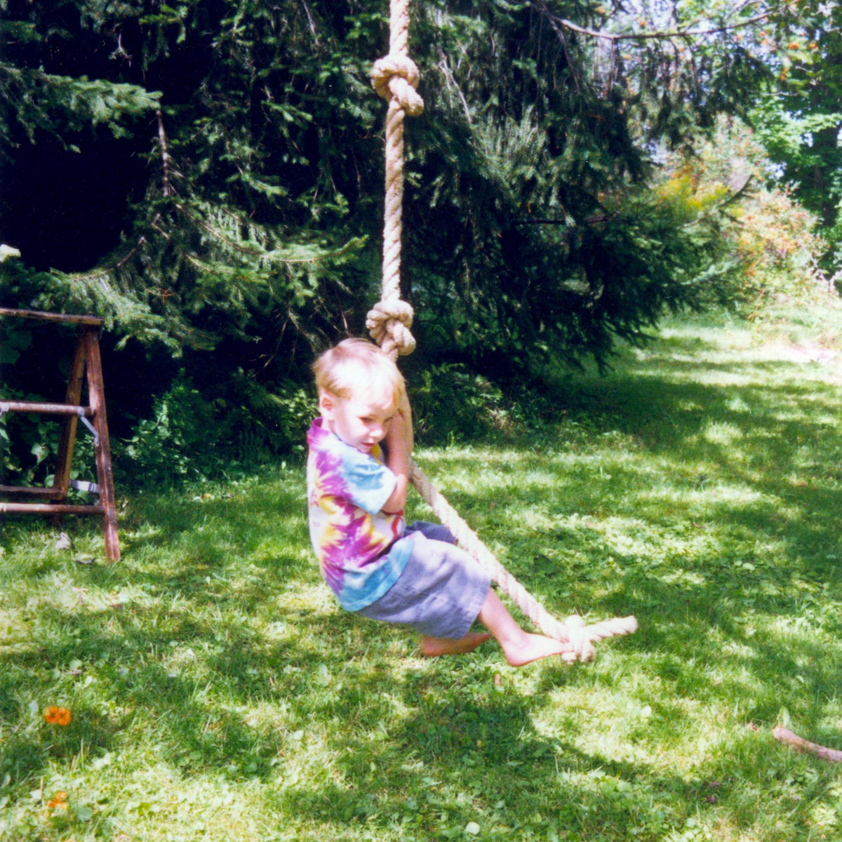 I Had A Rope Swing On An Apple Tree In My Back Yard Sweet Pizza