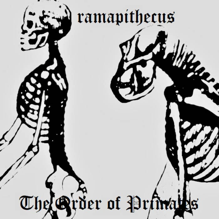 The Order of Primates | Ramapithecus