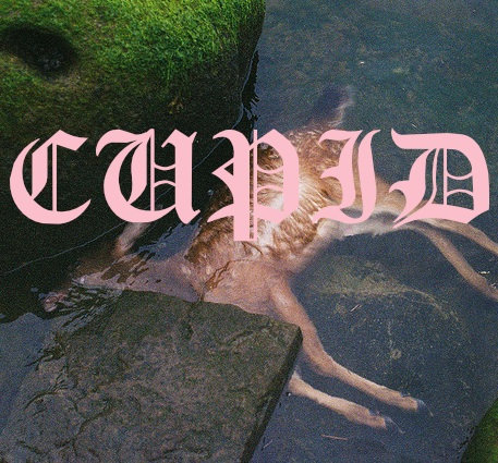 CUPID | Cupid