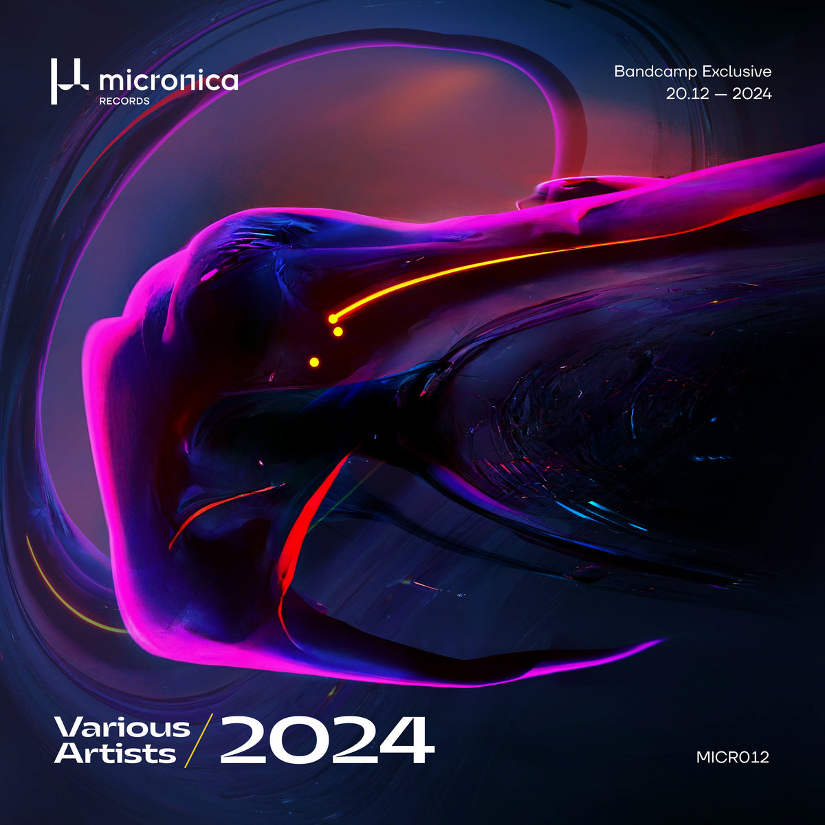 VA - 2024 [MICR012]