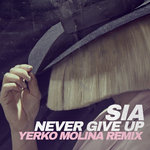 Yerko Molina - SIA - Never Give Up (Yerko Molina Remix)