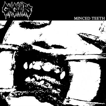 TEETH アルバム CD プロモーションコピー MINCED TEETH | GINGIVITIS