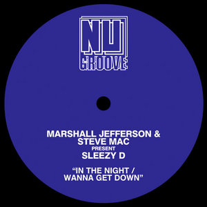 In The Night / Wanna Get DownMarshall Jefferson, Steve Mac, Sleezy D cover