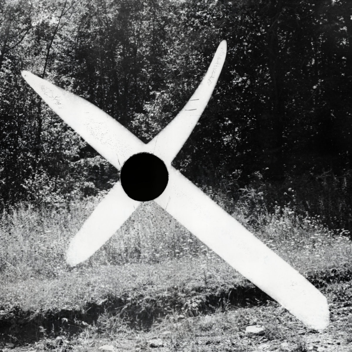 a1016526261_10.jpg