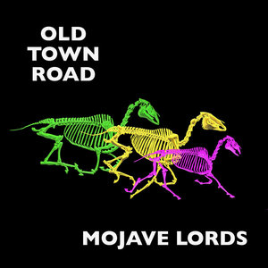 Old Town Road cover