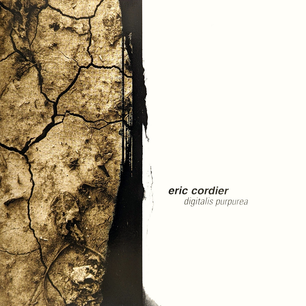 Digitalis Purpurea Eric Cordier Ground Fault Recordings