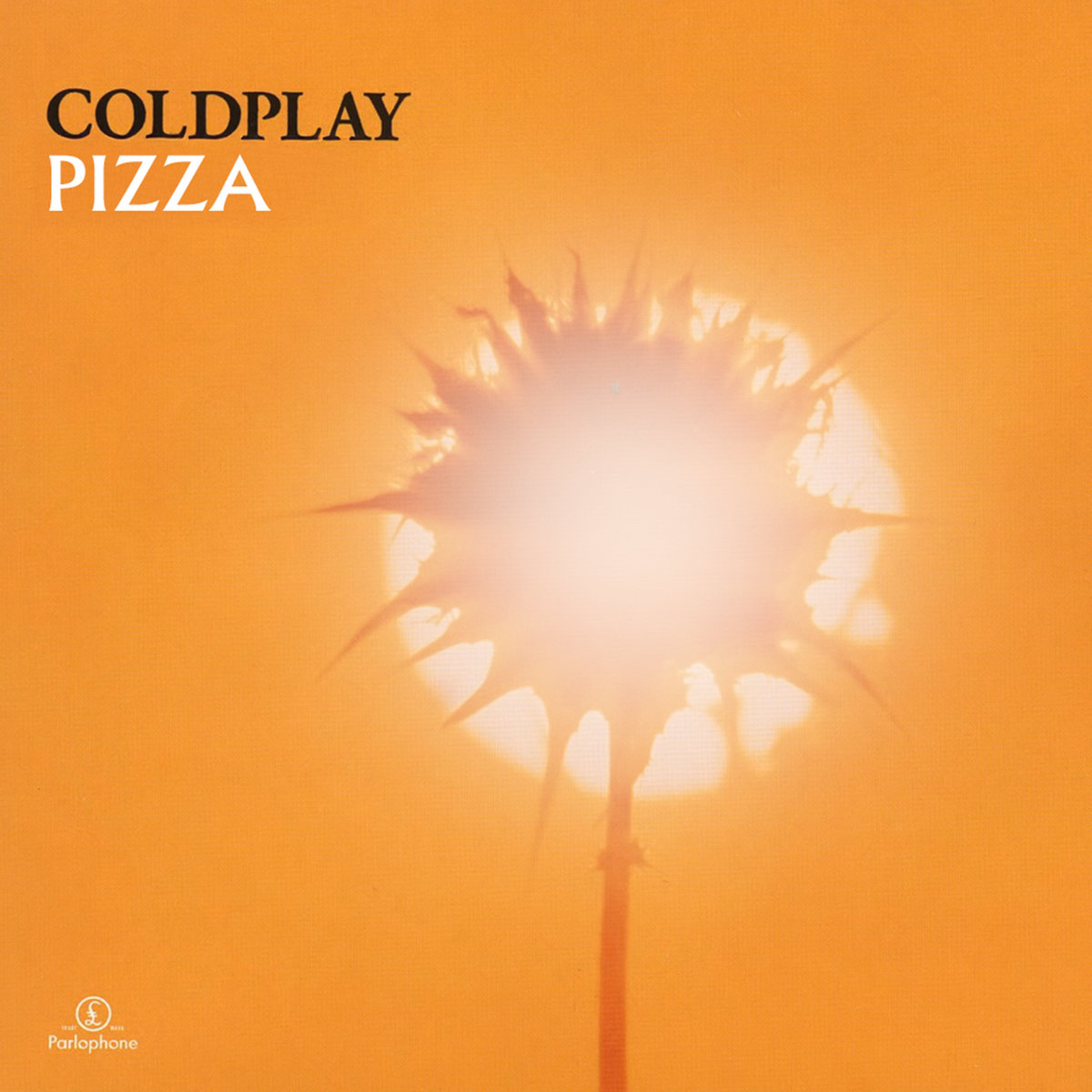 The Pizza Collection | The Pizza Collection