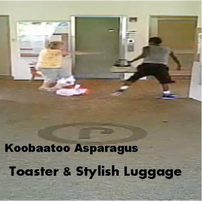 Toaster & Stylish Luggage Koobaatoo Asparagus Flaccid Plastic Records