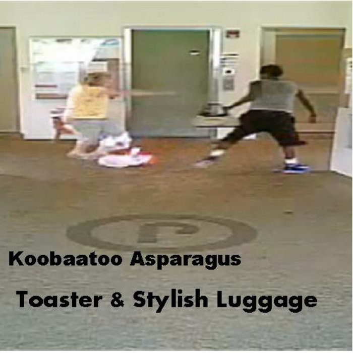 Toaster & Stylish Luggage Koobaatoo Asparagus Flaccid Plastic Records