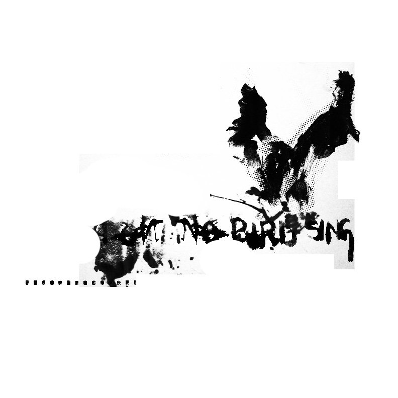 No Bird Sing No Bird Sing