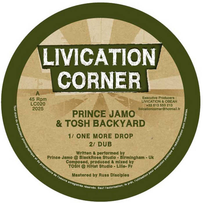 2LP Little Tempo ‎Ron Riddim In Dub 送料込 LITTLE TEMPO / RON RIDDIM IN DUB [2LP - ]：JAPANESE