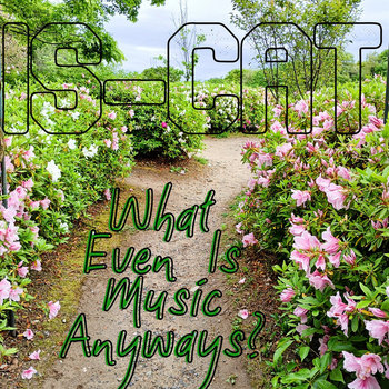 What Even is Music Anyways? cover art