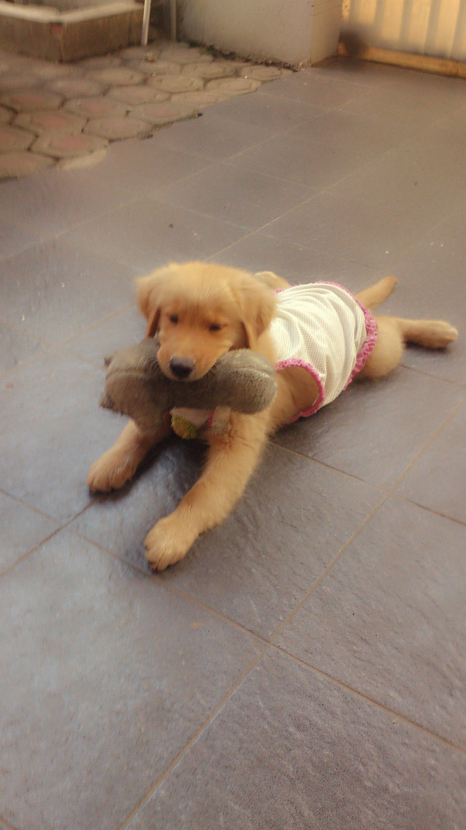 lazy