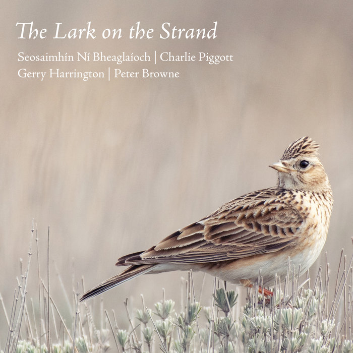 Sesoaimhín Ní Bheaglaíoch, Charlie Piggott, Gerry Harrington, Peter Browne on Bandcamp