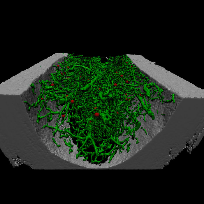 Matlab 3d Visualization Pdf Download | Elsameri | assakicatrea