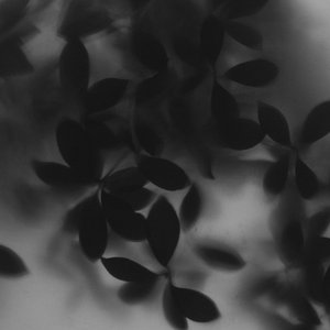 Trentemøller — Nightfall