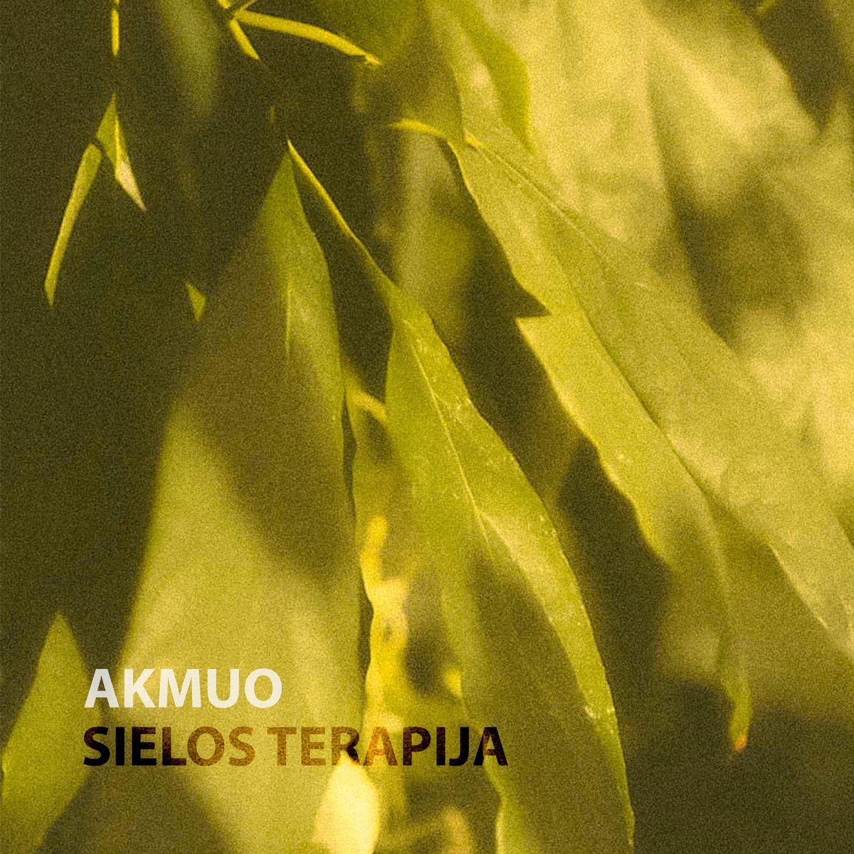 Akmuo - Sielos Terapija