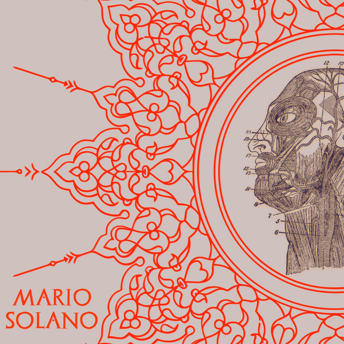 LA AUSENCIA DEL DÍA | MARIO SOLANO | Mario Solano