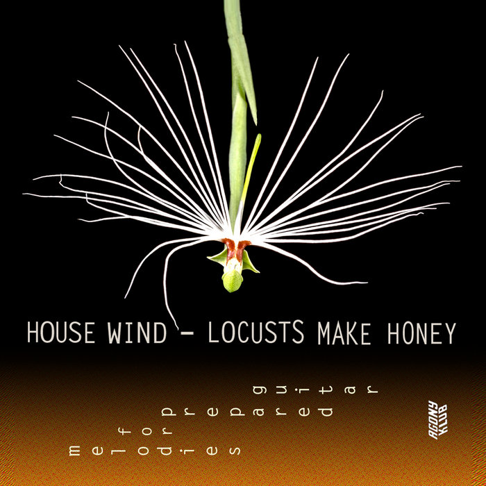 Locusts Make Honey Melodies For Prepared Guitar House Wind
