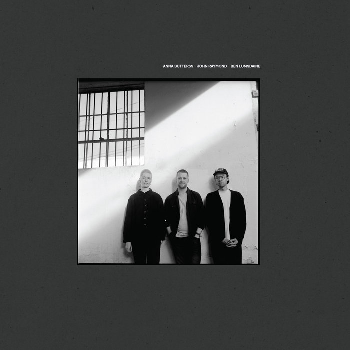 Anna Butterss, John Raymond & Ben Lumsdaine — Beginningless release artwork