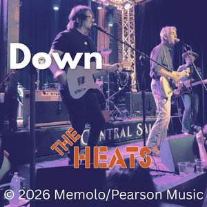 Down cover