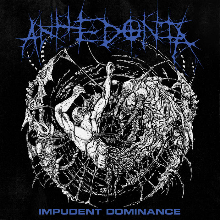 anhedonia pt141 Impudent Dominance