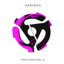 Hidden Remix Gems v12 cover art