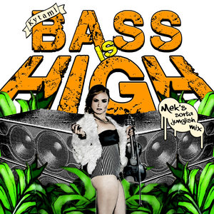 Bass Is High (Mek's Sorta Junglish Mix) cover