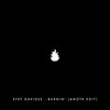Stef Davidse - Burnin' (ANOTR Edit)